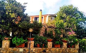 Villa Milena Villasimius, Wifi Gratuito, Ampio Giardino A 300 M Dal Mare